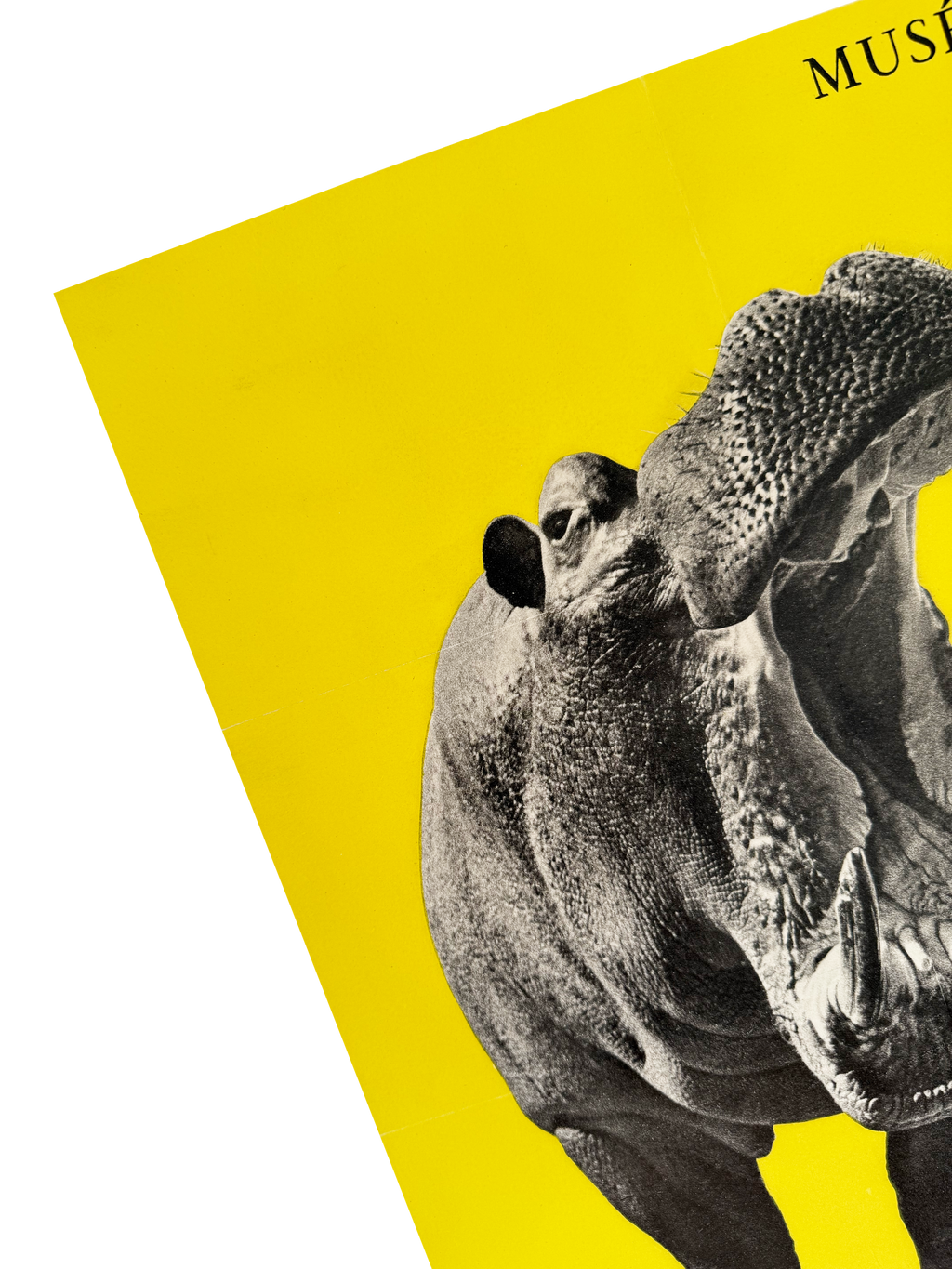 洋書 CLASSIC NATURAL HISTORY PRINTS MAMMALS 洋書 CLASSIC NATURAL HISTORY PRINTS MAMMALS 洋書 CLASSIC NATURAL