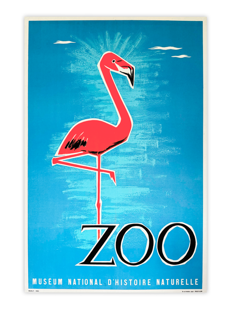 Zoo original "Flamingo" Muséum national d'Histoire naturelle, 1955 - Mourlot