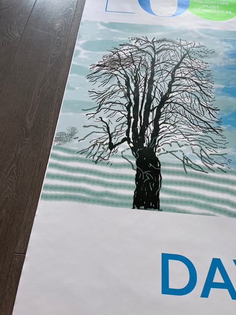 Original Large Poster David Hockney 2021 - Musée De L'Orangerie - Big Size