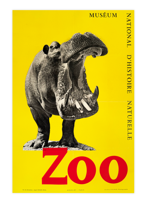 Original Zoo Poster "Hippopotamus" National Museum of Natural History, 1955 - Mourlot
