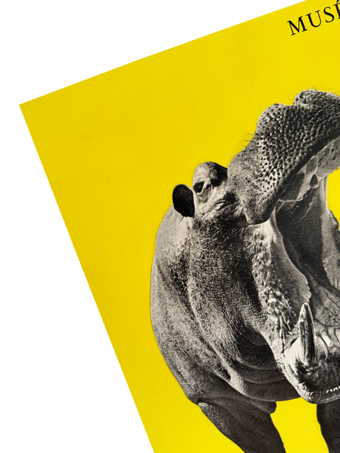 Original Zoo Poster "Hippopotamus" National Museum of Natural History, 1955 - Mourlot