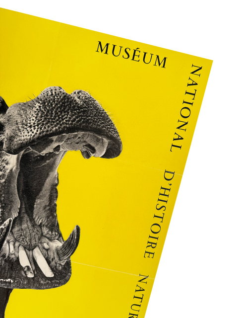 Original Zoo Poster "Hippopotamus" National Museum of Natural History, 1955 - Mourlot