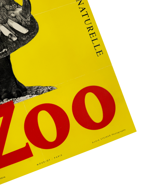 Original Zoo Poster "Hippopotamus" National Museum of Natural History, 1955 - Mourlot